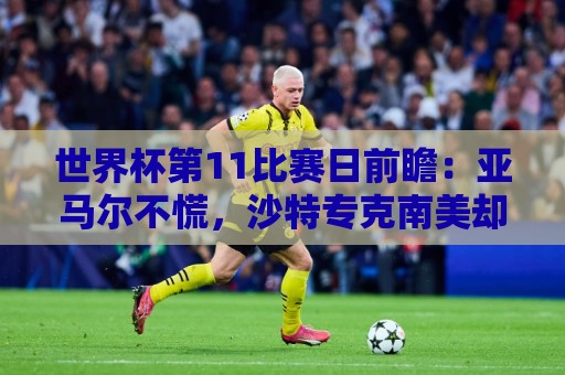 世界杯第11比赛日前瞻:亚马尔不慌,沙特专克南美却怕欧洲队 世界杯第11比赛日前瞻:亚马尔不慌,沙特专克南美却怕欧洲队