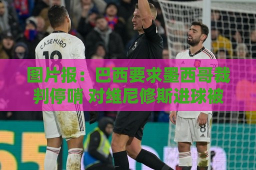 图片报：巴西要求墨西哥裁判停哨 对维尼修斯进球被取消非常愤怒