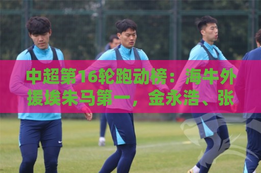 中超第16轮跑动榜:海牛外援埃朱马第一,金永浩、张修维进前五 中超第16轮跑动榜:海牛外援埃朱马第一,金永浩、张修维进前五