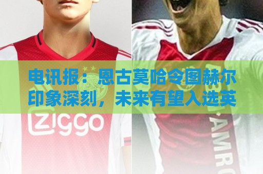 电讯报：恩古莫哈令图赫尔印象深刻，未来有望入选英格兰队