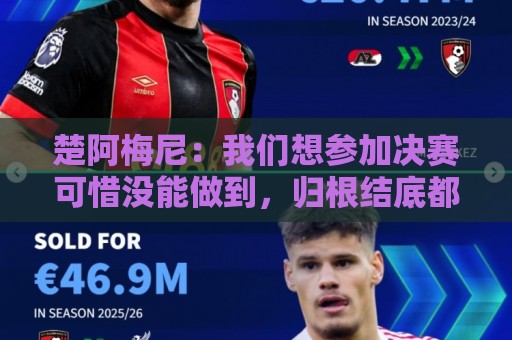 楚阿梅尼：我们想参加决赛可惜没能做到，归根结底都是咎由自取