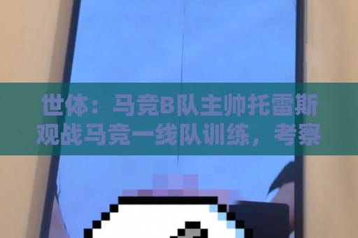世体：马竞B队主帅托雷斯观战马竞一线队训练，考察两名B队新援