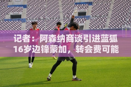 记者：阿森纳商谈引进蓝狐16岁边锋蒙加，转会费可能超1000万镑