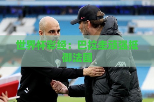 世界杯彩经:巴拉圭顽强抵御法国 世界杯彩经:巴拉圭顽强抵御法国