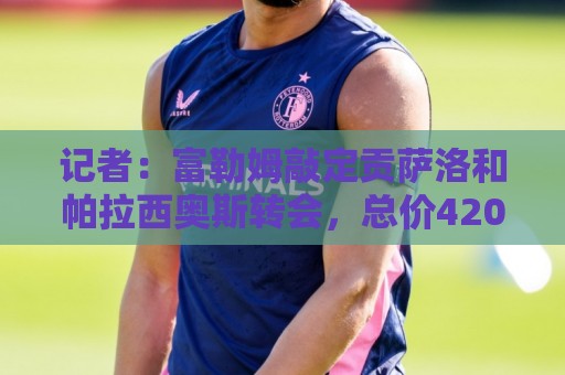 记者：富勒姆敲定贡萨洛和帕拉西奥斯转会，总价4200万英镑
