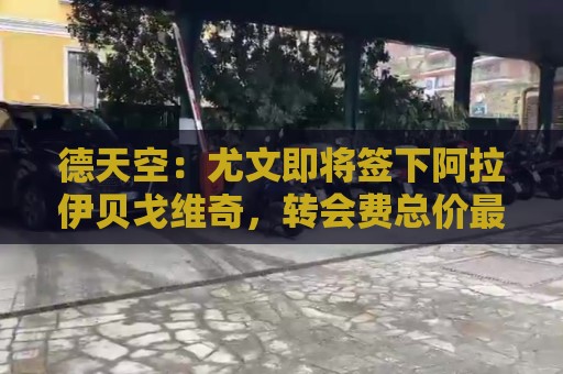 德天空：尤文即将签下阿拉伊贝戈维奇，转会费总价最高达4000万欧