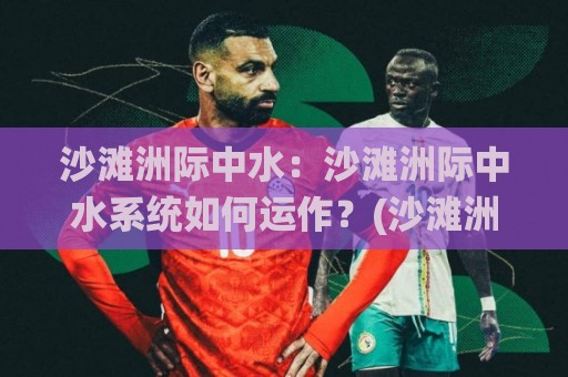 沙滩洲际中水：沙滩洲际中水系统如何运作？(沙滩洲际中水)与滨海生态循环的融合之道【沙滩洲际中水】🔥网上热门让球站公司比分下盘无需登录对比大礼包