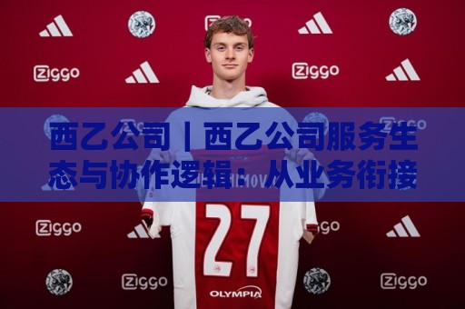 西乙公司｜西乙公司服务生态与协作逻辑：从业务衔接看企业选择的新视角🔥今日最新外围投球站动画水位精彩片段流畅代理1080P