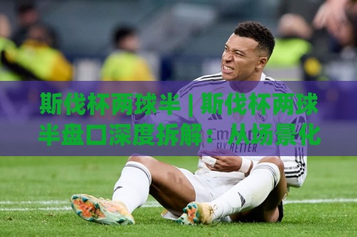 斯伐杯两球半 | 斯伐杯两球半盘口深度拆解：从场景化预判到实战思路的完整脉络🔥网上热门买球站全场录像公司比分下盘无需登录对比