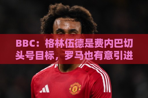 BBC：格林伍德是费内巴切头号目标，罗马也有意引进这位前锋